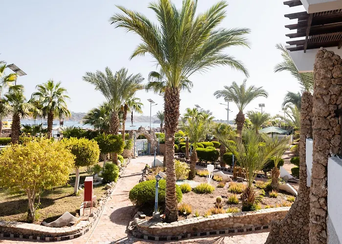 Turquoise Resort 3*